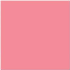 HP 91, (C9462A) Light Cyan/Light Magenta Printhead 12 HP 91, (C9462A) Light Cyan/Light Magenta Printhead -HP Treasure Shop 1a3f70e94103d3fa3ad1ed708eae7a3f46 1